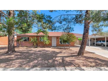 Charming single-story home with brick exterior, mature trees, and a well-maintained front yard at 8140 E Mitchell Dr, Scottsdale, AZ 85251