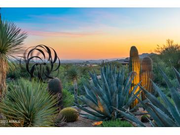 Sunset view of the Arizona desert landscape featuring cacti, native plants, and a unique modern art sculpture at 39032 N 101St Way, Scottsdale, AZ 85262