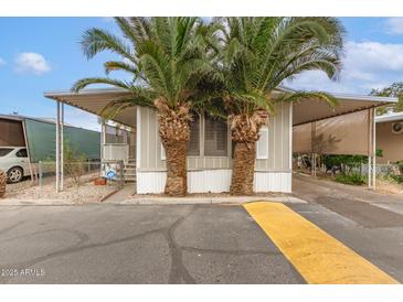 Charming single-story home with mature palm trees providing shade and character at 5601 W Missouri Ave # 254, Glendale, AZ 85301