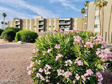Beautiful view of the exterior with flowering bushes and palm trees under a sunny blue sky at 425 S Parkcrest -- # 323, Mesa, AZ 85206