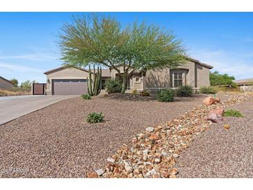 Charming home with desert landscaping, a beautiful Palo Verde tree, and a welcoming walkway at 2239 N Calvin --, Mesa, AZ 85207