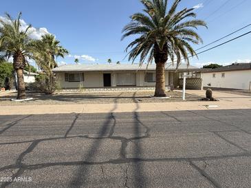Charming single-story home with desert landscaping and mature palm trees in a sunny neighborhood at 5517 E Boise St, Mesa, AZ 85205