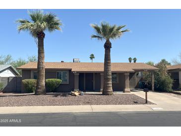 Charming single-story home with palm trees, desert landscaping, and a welcoming front entrance at 1018 W Helena Dr, Phoenix, AZ 85023