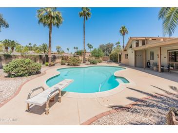 Backyard pool featuring a diving board and desert landscaping at 6931 E Pershing Ave, Scottsdale, AZ 85254