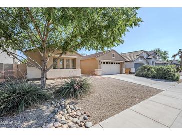 Tan home featuring low maintenance landscaping, a large tree, and a two car garage at 1026 E Julie Ave, San Tan Valley, AZ 85140