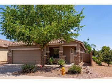 Charming single-story home with a well-maintained front yard and mature tree providing shade at 1461 W Brangus Way, San Tan Valley, AZ 85143