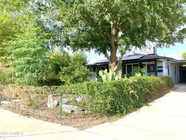 Charming home with lush green landscaping, mature trees, and a well-maintained front yard at 4629 N 9Th St, Phoenix, AZ 85014