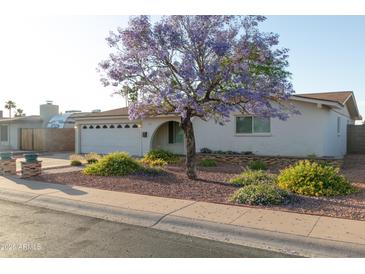 Charming single-story home featuring a well-manicured front yard and a flowering tree for added curb appeal at 1894 E Julie Dr, Tempe, AZ 85283