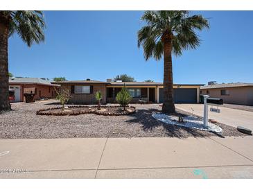 Charming single-story brick home featuring desert landscaping and mature palm trees for added curb appeal at 6449 E Ellis St, Mesa, AZ 85205