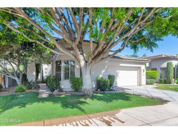 Charming single-story home featuring a well-manicured front lawn and mature shade tree at 8760 N 73Rd Way, Scottsdale, AZ 85258