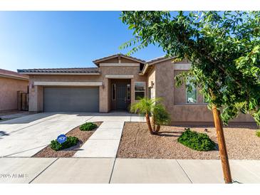 Charming single-story home featuring a well-manicured front yard, a two-car garage, and a welcoming entryway at 22944 E Via Del Oro --, Queen Creek, AZ 85142