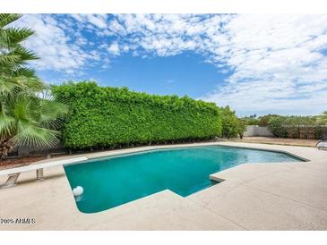 Inviting backyard pool with lush green privacy hedge, perfect for relaxation and outdoor enjoyment at 3102 W Betty Elyse Ln, Phoenix, AZ 85053