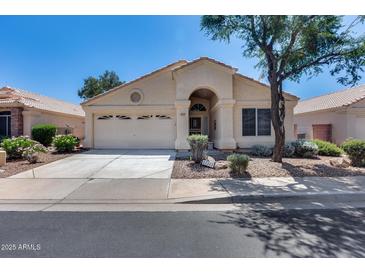 Charming single-story home with a well-maintained front yard and attached two-car garage at 17317 N Ponca Way, Surprise, AZ 85374