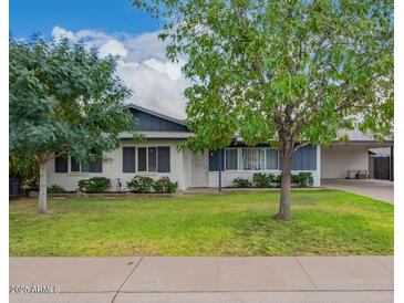 Charming single story home with well maintained front yard and mature trees at 2425 W Shady Glen Ave, Phoenix, AZ 85023
