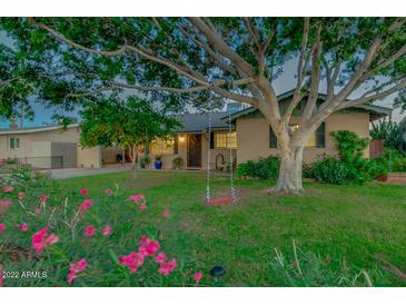 Charming home featuring a mature shade tree with a playful tree swing in a lush front yard at 803 W 18Th St, Tempe, AZ 85281