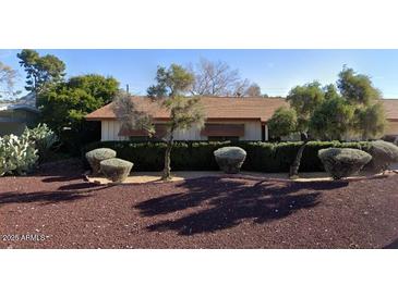 Charming single-story home with manicured landscaping and mature trees providing shade and curb appeal at 6717 N 15Th Pl, Phoenix, AZ 85014