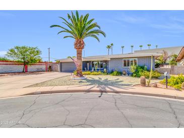 Charming single-story home featuring mature landscaping, a long driveway, and a desert-style front yard at 4363 E Dragoon Cir, Mesa, AZ 85206