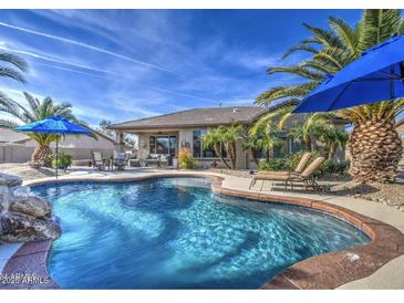 Inviting backyard pool surrounded by lush landscaping and lounge seating, perfect for outdoor relaxation at 1078 W Desert Aster Rd, San Tan Valley, AZ 85143