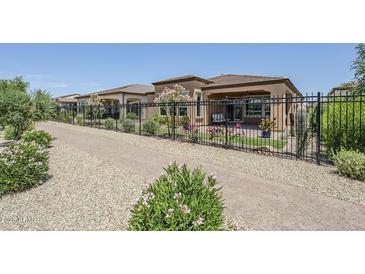Beautiful backyard featuring desert landscaping, black metal fencing, and a covered patio area at 699 E Watermelon Ln, Queen Creek, AZ 85140