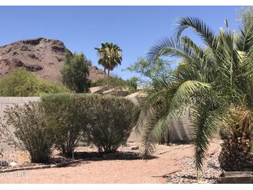 Landscaped backyard featuring desert foliage, rock, and brickwork against a mountain backdrop at 1502 E Estrid Ave, Phoenix, AZ 85022