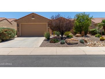 Charming home featuring a neutral color scheme, well-manicured landscaping, and a spacious two-car garage at 21893 N 261St N Ave, Buckeye, AZ 85396