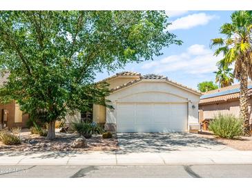 Charming single-story home with a well-manicured lawn, mature tree, and a two-car garage at 742 E Lovegrass Dr, San Tan Valley, AZ 85143