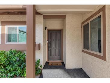 Inviting front entryway with a neutral-toned door and well-maintained exterior and landscaping at 13237 N 25Th Dr, Phoenix, AZ 85029