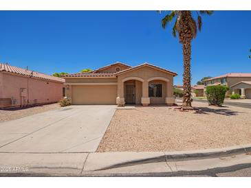 Charming single-story home with a well-maintained desert landscape and a mature palm tree at 674 E Renegade Pl, San Tan Valley, AZ 85143