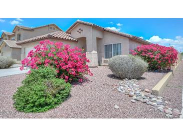 Charming home featuring beautiful desert landscaping and vibrant bougainvillea bushes at 1527 S 219Th Ln, Buckeye, AZ 85326