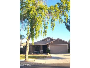 Charming single-story home with a well-maintained lawn and mature shade trees at 17257 W Papago St, Goodyear, AZ 85338