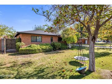 Landscaped front yard with mature tree and a charming tire swing at 1825 E Palo Verde Dr, Phoenix, AZ 85016