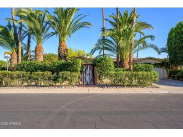 Charming home exterior featuring mature palm trees, lush greenery, and a unique wood gate entrance at 6255 E Crocus Dr, Scottsdale, AZ 85254