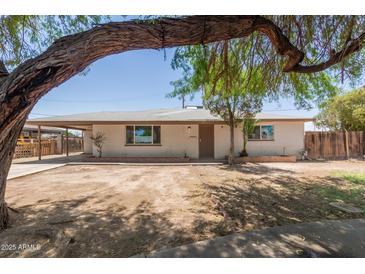 Charming single-story home with brick accents and a well-maintained front yard at 716 S Lewis --, Mesa, AZ 85210