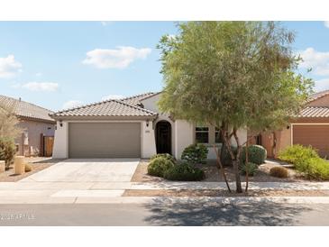 Charming single-story home features a well-manicured front yard and two-car garage at 25727 N 161St Ave, Surprise, AZ 85387