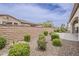 A well manicured backyard with brick wall, mature landscaping, and stone pavers at 578 E Las Puertas Ln, Queen Creek, AZ 85140