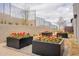 Landscaped yard with multiple flower boxes at 12297 E Troon Vista Dr # 255, Scottsdale, AZ 85255