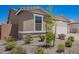 Landscaped front yard featuring stone ground cover, blooming bushes, and a healthy young tree at 18450 E Camila Dr, Gold Canyon, AZ 85118
