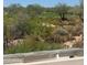 Desert backyard view from a rooftop patio showcasing native vegetation and a glimpse of a golf course at 37445 N 104Th Pl, Scottsdale, AZ 85262