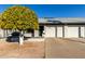 Attractive front yard with a mature orange tree, adding curb appeal to the property at 7950 E Keats Ave # 133, Mesa, AZ 85209