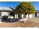 Attractive front yard with a mature orange tree, adding curb appeal to the property at 7950 E Keats Ave # 133, Mesa, AZ 85209