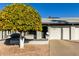 Attractive front yard with a mature orange tree, adding curb appeal to the property at 7950 E Keats Ave # 133, Mesa, AZ 85209