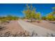 Scenic walking path lined with flowering trees and shrubs, creating a serene and inviting outdoor space at 5809 W Victory Ct, Florence, AZ 85132