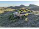 Expansive desert estate featuring a terracotta roof, lush landscaping, and mountain views at 10537 N Crestview Dr, Fountain Hills, AZ 85268