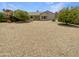 Backyard featuring desert landscaping with gravel and mature trees, offering a low-maintenance outdoor space at 16186 W Silver Falls Dr, Surprise, AZ 85374