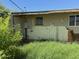 Image of a severely damaged exterior wall covered in overgrown grass at 1535 E Christy Dr, Phoenix, AZ 85020