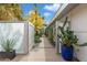 Stylish front entrance features desert plants and a glass-enclosed walkway, offering privacy and curb appeal at 8517 N 48Th Pl, Paradise Valley, AZ 85253