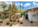 Modern home with desert landscaping, including cacti, palm trees, and a pathway to the glass-enclosed entrance at 8517 N 48Th Pl, Paradise Valley, AZ 85253