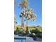 Relaxing poolside view with elegant desert landscaping, mature palm trees and mountain views at 8517 N 48Th Pl, Paradise Valley, AZ 85253