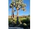 Lush desert landscaping complements the natural beauty of this home's setting with mountain views and mature trees at 8517 N 48Th Pl, Paradise Valley, AZ 85253