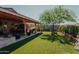 Spacious backyard with artificial turf, mature tree, and landscaped borders at 160 S Azteca Dr, Eloy, AZ 85131